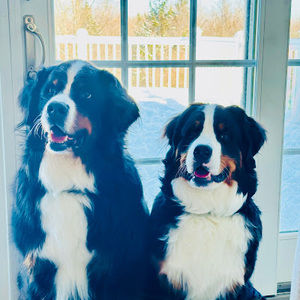 Meet your Posher, Karen